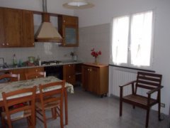 Independent, villa with garden, small olive grove, rustic stone to renovate, for sale in Villanova d'Albenga. - 14