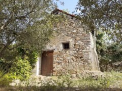 Indipendente, villetta con giardino, piccolo uliveto, rustico in pietra da ristrutturare, in vendita a Villanova d'Albenga. - 10