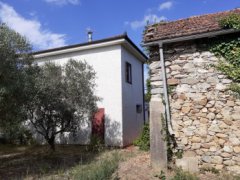 Indipendente, villetta con giardino, piccolo uliveto, rustico in pietra da ristrutturare, in vendita a Villanova d'Albenga. - 12
