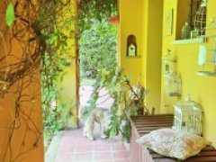 Half independent two bedroom apartment with big tavern, large garden and double garage for sale in Garlenda in the Golf Club - 8
