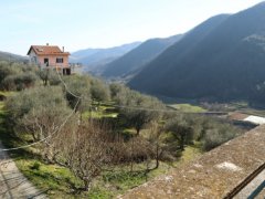 Stone farmhouse with land for sale in Ranzo - 25