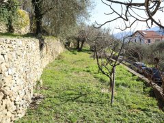 Stone farmhouse with land for sale in Ranzo - 33