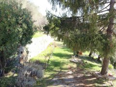 Stone farmhouse with land for sale in Ranzo - 34