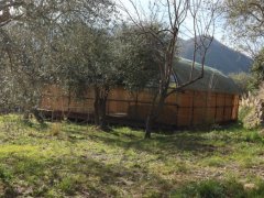 Stone farmhouse with land for sale in Ranzo - 35