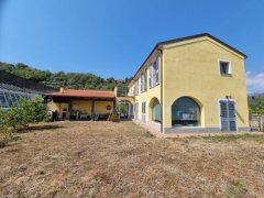 Azienda Agricola con annessa villa in vendita ad Albenga - 2