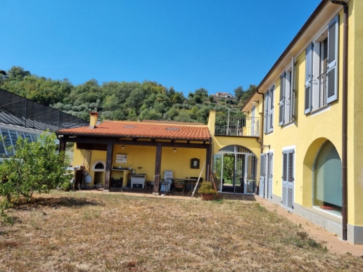 Azienda Agricola con annessa villa in vendita ad Albenga - 3
